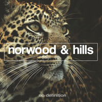 Norwood & Hills - Baiji- EP