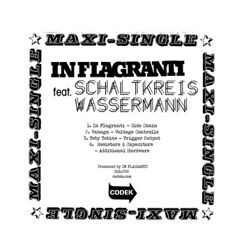 Various Artists - In Flagranti Featuring Schaltkreis Wasserman