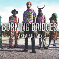 Patrice - Burning Bridges (Fakear Remix)
