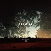 Dirk Maassen - Fragile