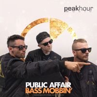Public Affair - Bass Mobbin'