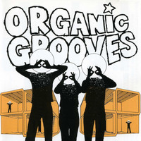 Organic Grooves - Organic Grooves 4: Live in Nyc