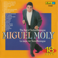 Miguel Moly - Lo Mejor del Techno Merengue