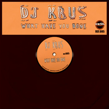 Dj Krus - What Have You Done
