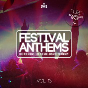 Various Artists - Festival Anthems, Vol. 13