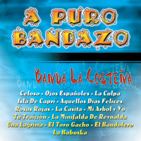 Banda La Costeña - A Puro Bandazo