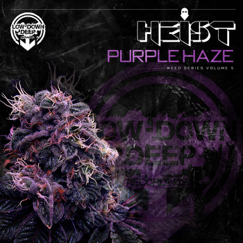 Heist - Purple Haze