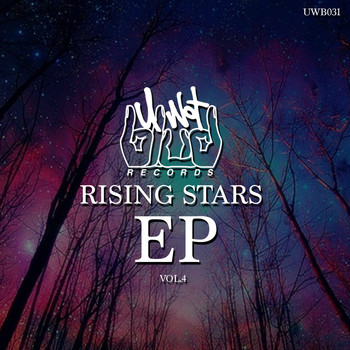 Various Artists - Rising stars vol 4 (Explicit)