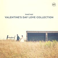 Armando Trovajoli - Valentine's Day Love Collection: Armando Trovajoli