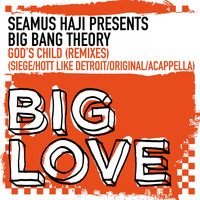 Seamus Haji Presents Big Bang Theory - God's Child (Remixes)