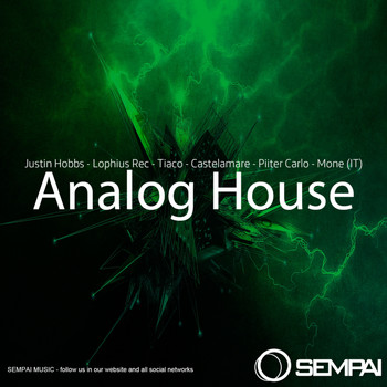 Various Artists - Analog House