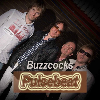 Buzzcocks - Pulsebeat
