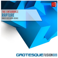 The Enturance - Rapture (Amir Hussain Remix)