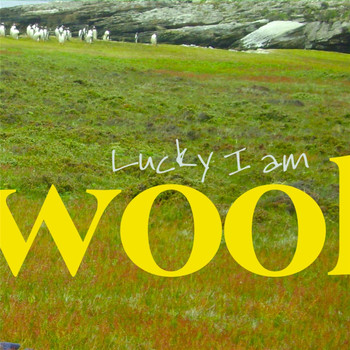 Wool - Lucky I Am