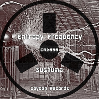 Entropy Frequency - Sushuma