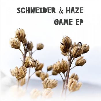 Schneider & Haze - Game EP