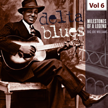 Big Joe Williams - Milestones of a Legend - Delta Blues, Vol. 6