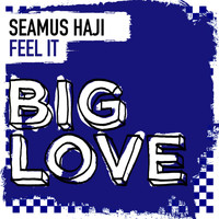Seamus Haji - Feel It
