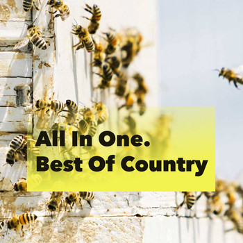 Various Artists - All In One. Best Of Country