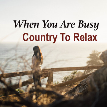 Various Artists - When You Are Busy. Country To Relax