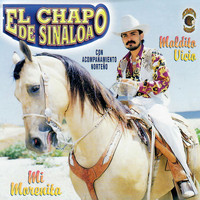 El Chapo De Sinaloa - Maldito Vicio