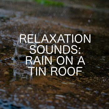 Ambient Nature White Noise - Relaxation Sounds: Rain On A Tin Roof