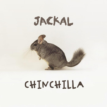 Jackal - Chinchilla