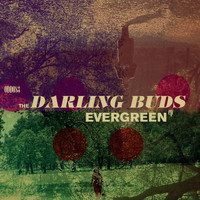 The Darling Buds - Evergreen - EP