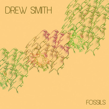 Drew Smith - Fossils