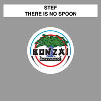 Stef - There Is No Spoon