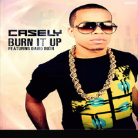 Casely - Burn It Up