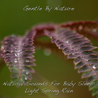 Gentle by Nature - Natural Sounds for Baby Sleep: Light Spring Rain