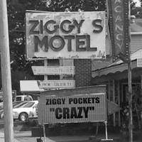Ziggy Pockets - Crazy
