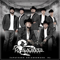 Alacranes Musical - El Zapateado Encabronado #5