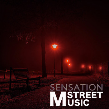 Various Artists - Music Street Sensation