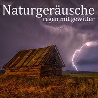 Entspannungsmusik & Das Natur-Orchester von TraxLab - Naturgeräusche: Regen mit Gewitter