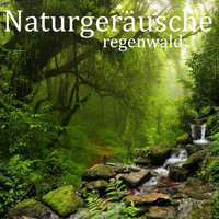 Entspannungsmusik & Das Natur-Orchester von TraxLab - Naturgeräusche: Regenwald