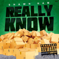 Shawn Ham - Really Know