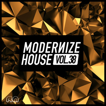 Various Artists - Modernize House, Vol. 38
