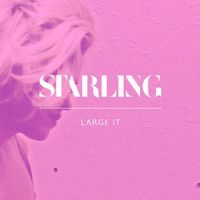 Starling - Large It (Explicit)