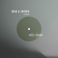 Brid & Snyder - Trust