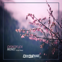 Diskoflex - Money (Can't Buy)