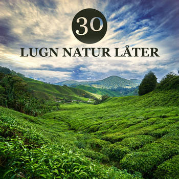 Naturliga Ljudterapi Masters - 30 Lugn natur låter