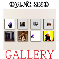 Dying Seed - Gallery