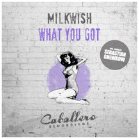 Milkwish - What You Got