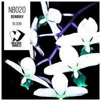 DenBray - Bloom