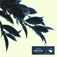R.I.B., Cari - Escape to You (Remixes)