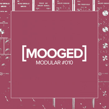 Various Artists - Mooged Modular #010