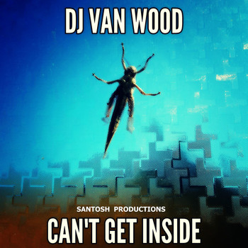 DJ Van Wood - Can't Get Inside