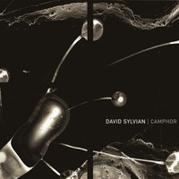 David Sylvian - Camphor